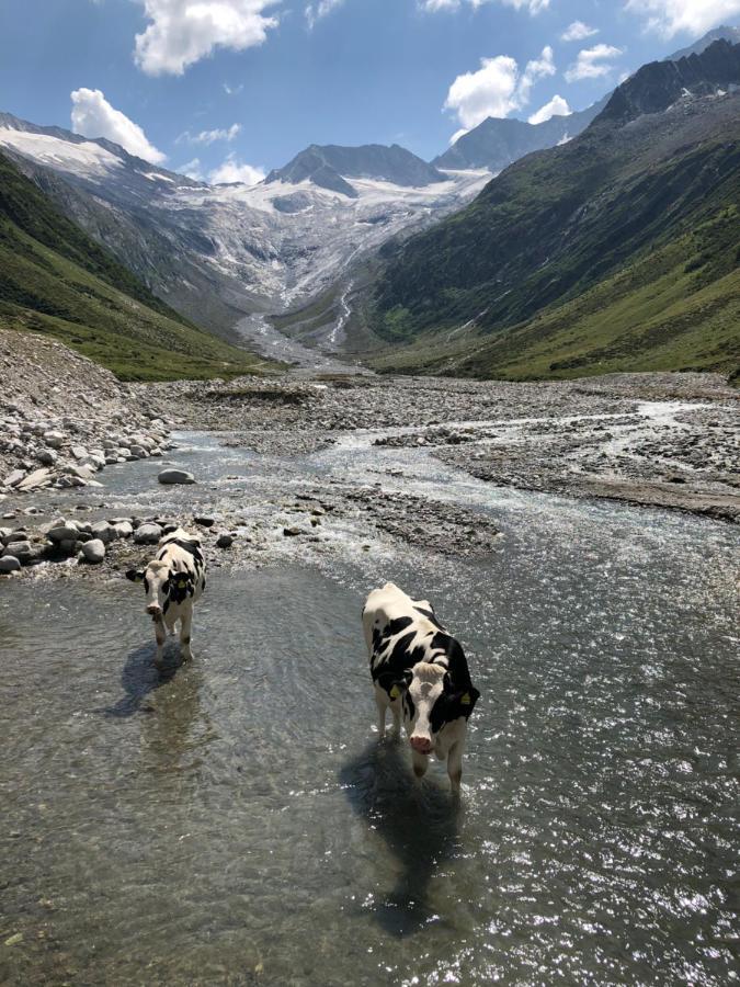 Landhaus Zillertal Ramsau im Zillertal Exteriér fotografie
