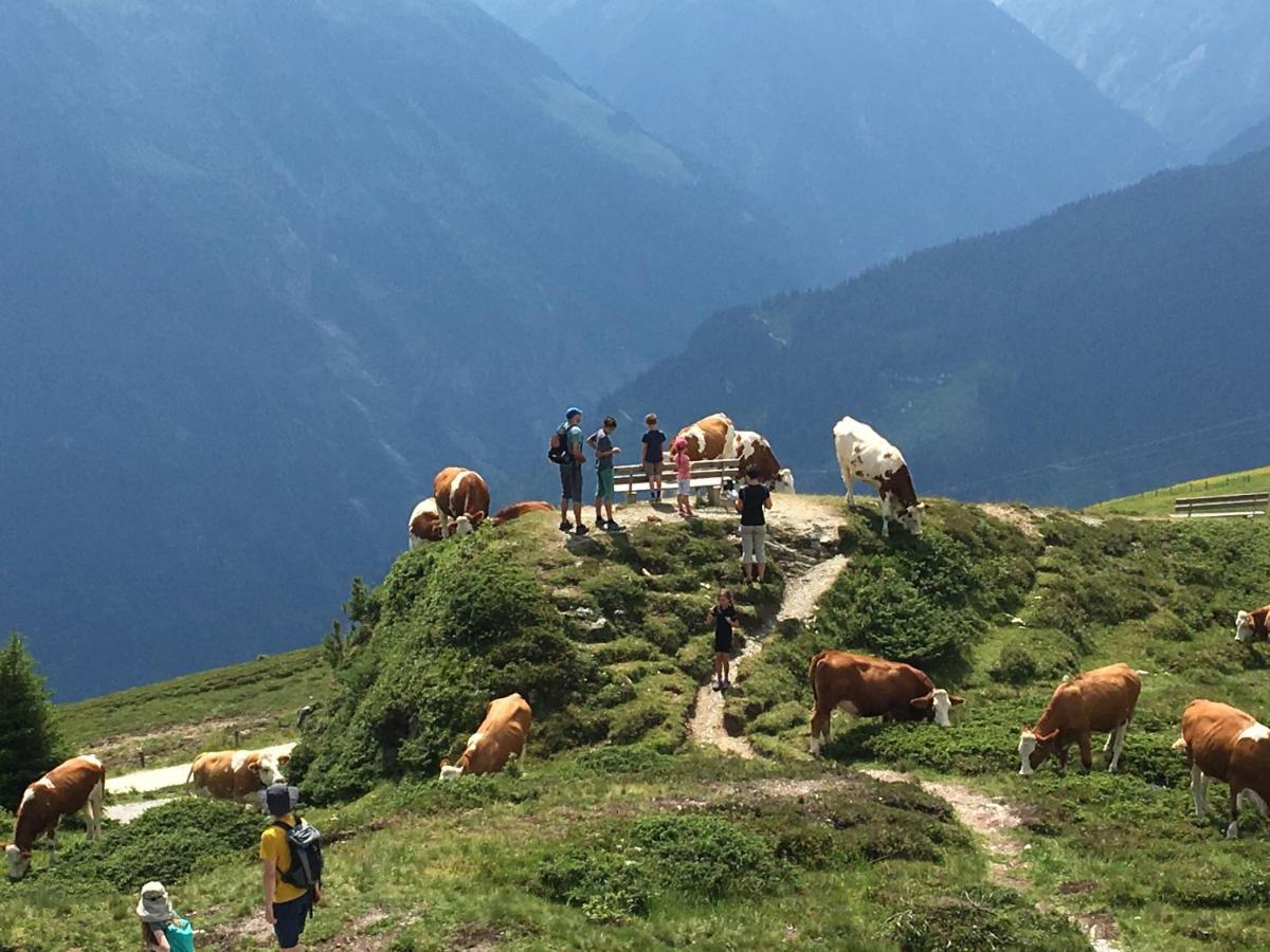 Landhaus Zillertal Ramsau im Zillertal Exteriér fotografie