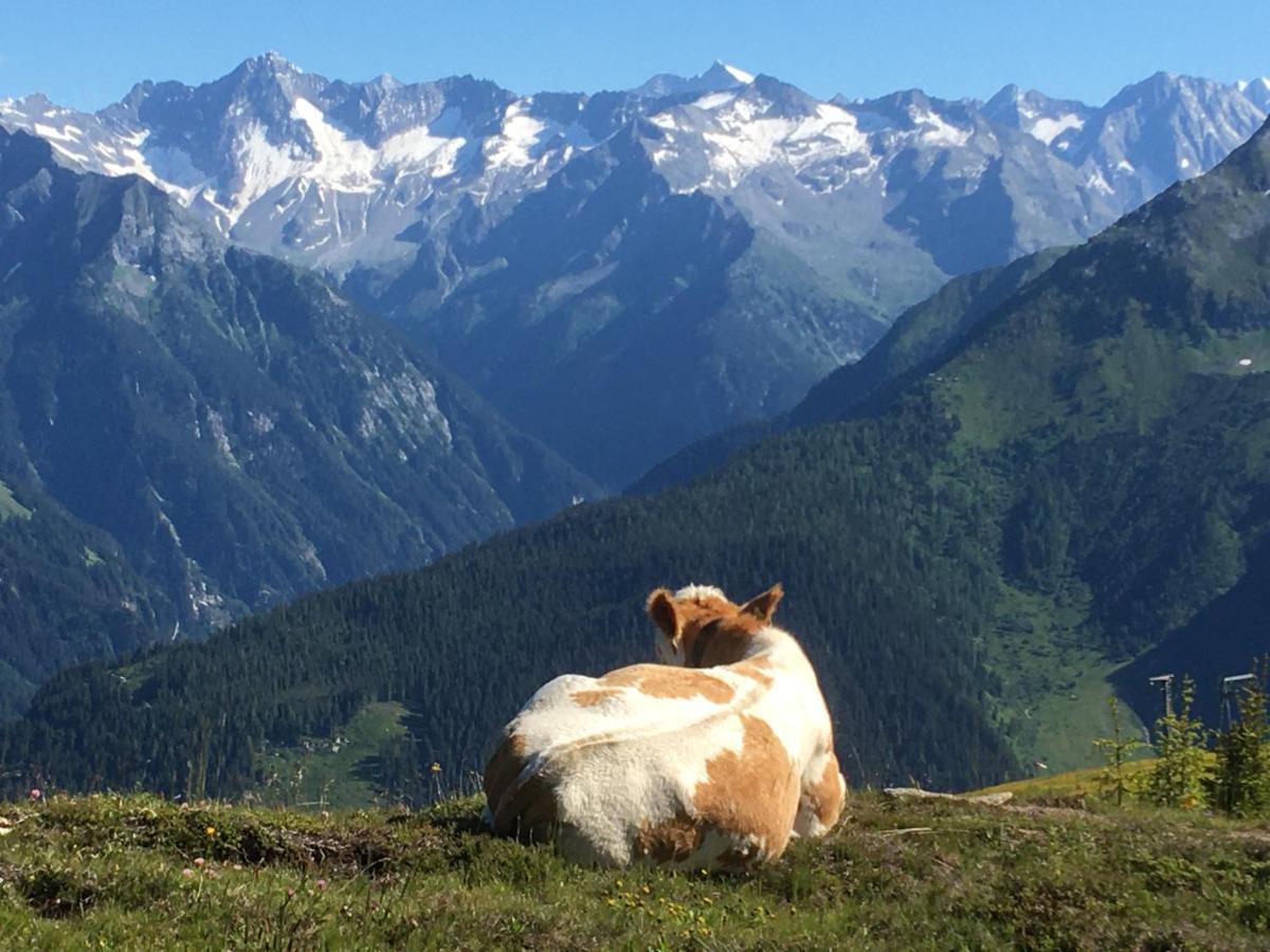Landhaus Zillertal Ramsau im Zillertal Exteriér fotografie